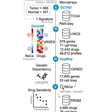 Schematic Representation Of The Bioinformatics Drug Repositioning