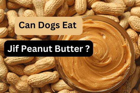 Can Dogs Safely Eat Jif Peanut Butter Unveiling The Truth