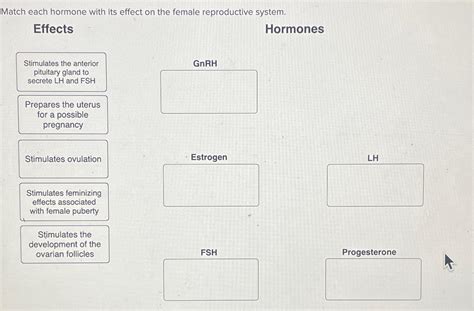 Solved Match Each Hormone With Its Effect On The Female