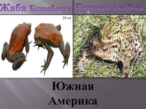 Великаны и карлики в живом мире - презентация онлайн