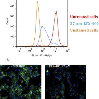 Intratumoral Treatment Induced Complete Regression In B F Melanomas