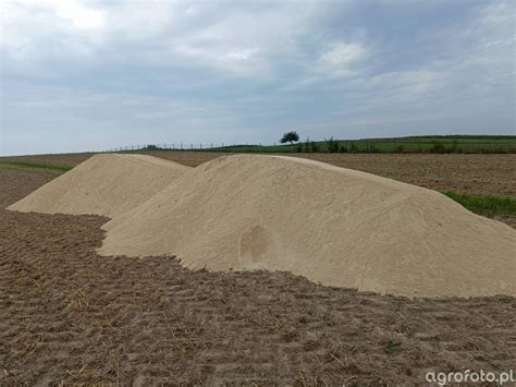 Kreda nawozowa Materiał siewny Pasze Nawozy Środki ochrony