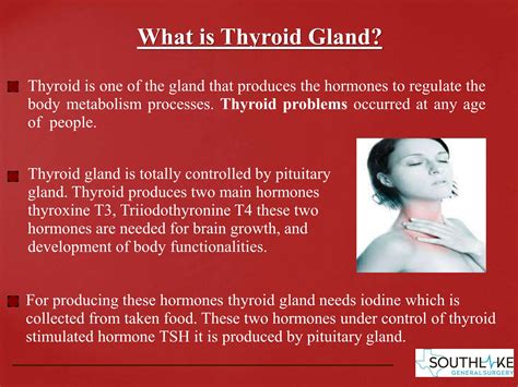 Thyroid Problem Causes Diagnosis And Treatment — Southlake General