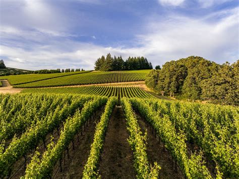 10 Things To Do In Willamette Valley Complete Guide To Oregons Scenic