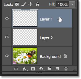 Photoshop Layers Panel Essentials