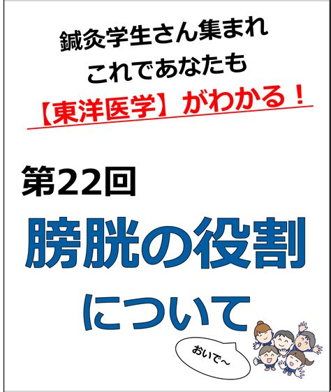 鍼灸学生さん集まれ東洋医学がこれであなたも分かる第22回膀胱の役割について りょうじのブログ Cmon