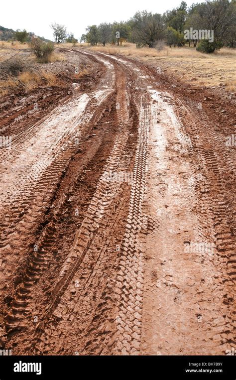 A Muddy Road In Gardner Canyon In The Santa Rita Mountains Of The