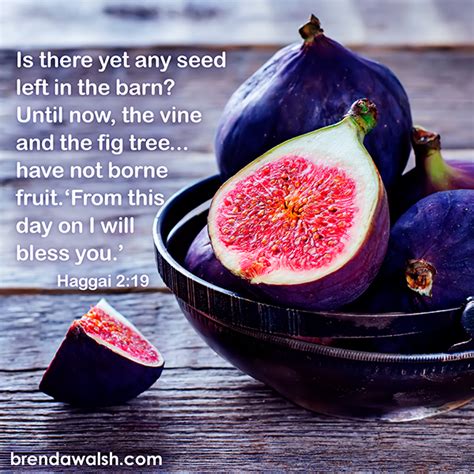 Bearing Fruit Brenda Walsh Scripture Images