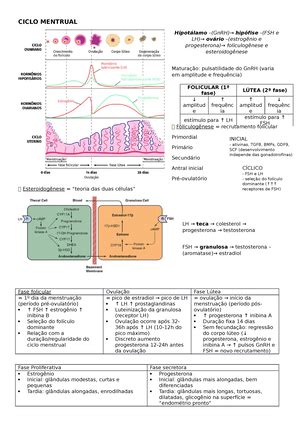 Manual PTGI Cap 06 Vulvovaginites Brasileira Das De Ginecologia E