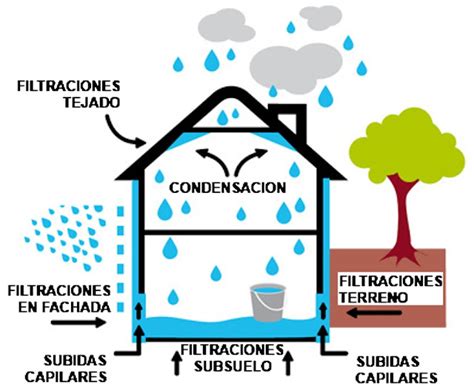 Tipo De Humedades