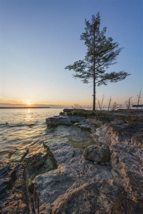 Sunrise at the Tree | Luke Collins Photography Print Store