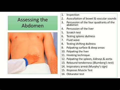 Assessing The Abdomen YouTube