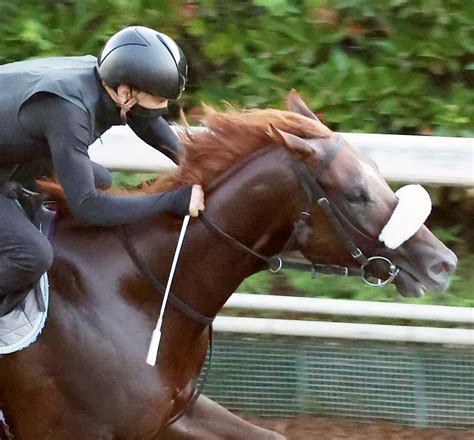 【池添謙一のken To 1】阪神12rのロードジャスティスで安田隆行調教師に恩返し スポーツ報知