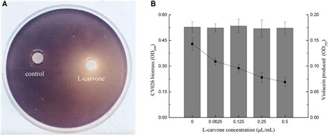 Frontiers Reducing Quorum Sensing Mediated Virulence Factor