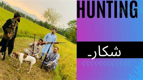 My Hunting Vlog شکار Youtube