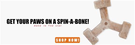 How To Teach A Dog To Spin Bullibone