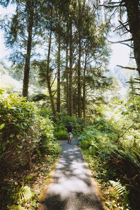 10 Epic Things To Do In Cape Perpetua You Must Experience Camping