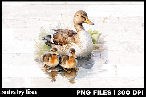 Mom Duck With Ducklings Png Clipart Graphic By Lisa Smith Creative