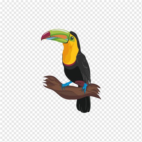 Lukisan Burung Kenyalang Music Video A Tropical Memory Jip De Beer