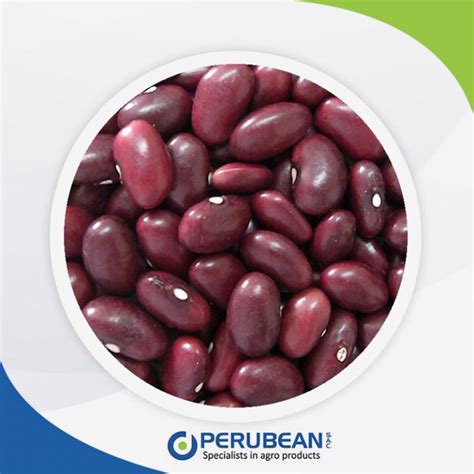 Frijol Panamito Navy Beans Perubean Variedad De Menestras Granos