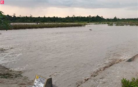 75 Hektar Sawah Terendam Banjir Petani Seram Utara Seti Merugi