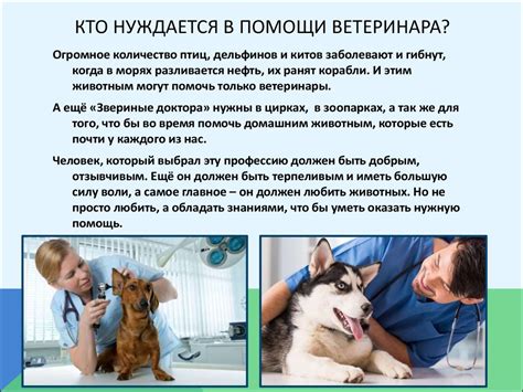 Я хочу стать ветеринаром - online presentation
