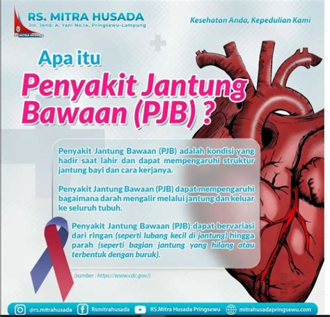 Icd 10 Penyakit Jantung Bawaan Homecare24