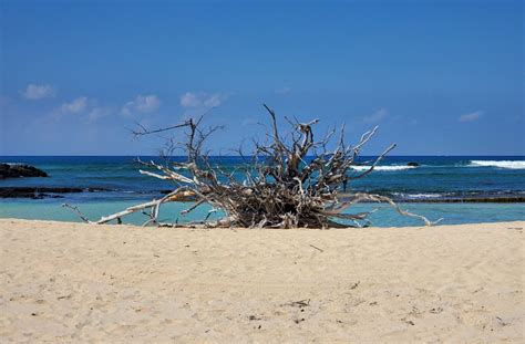 Makalawena Beach, Kailua-Kona - Hawaii Beaches