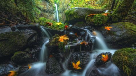 Landscape View Of Waterfall From Greenery Mountain Stream On Rocks Hd