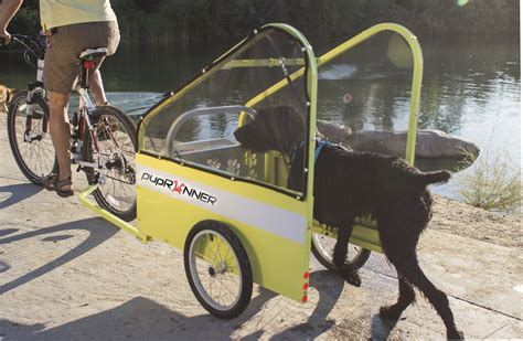 Dog Bike Trailer Harness At Donald Hammond Blog