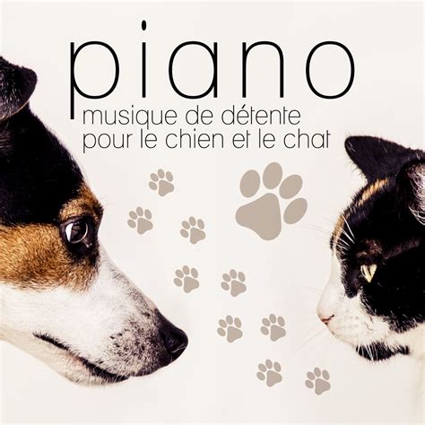 Piano Musicoth Rapie De D Tente Pour Le Chien Et Le Chat Musique