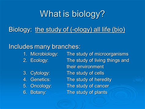 Branches Of Biology Chart Ponasa