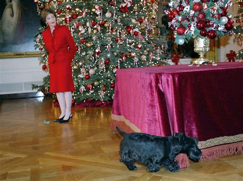 All The Presidents Pets