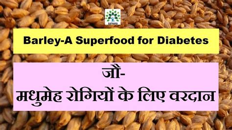 Yava Barley A Very Beneficial Grain For Diabetes And Obesity