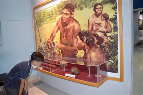 Diakui UNESCO Indonesia Punya Museum Manusia Purba Terlengkap Di Dunia