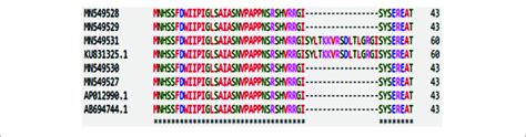 Amino Acid Sequence Analysis Of Orfs Of P Polymorphic Amplicons