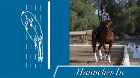 How is your Haunches In? - Amelia Newcomb Dressage