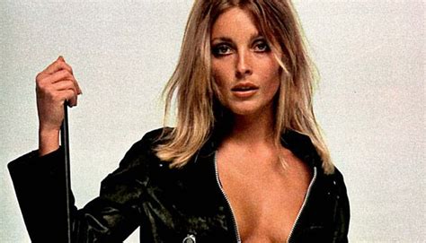 Sharon Tate: See the Esquire Photos | Sharon tate, Tate, Sharon