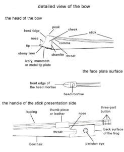 Violin Anatomy - Discover All Of The Parts Of A Violin (Videos Included)