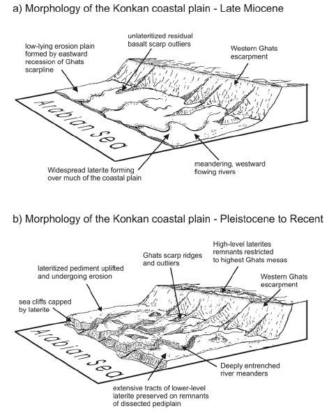 Coastal Plains Diagram