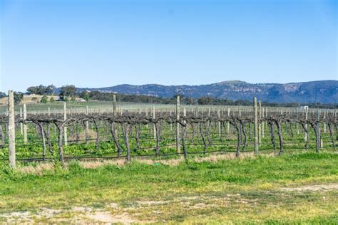 The 10 Best Wineries In Mudgee Australia