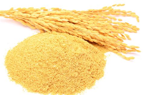 Rice Bran Exporters from India – NK Agro