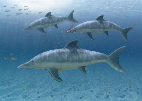 Ittiosauro O Ichthyosaurus Noi Dinosauri