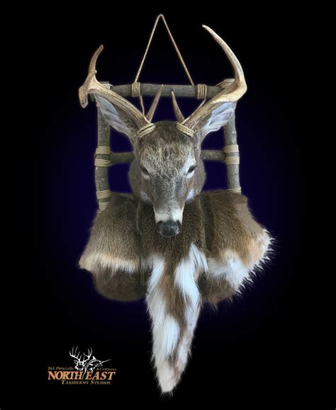 Whitetail Deer Mount, Whitetail Deer Taxidermy