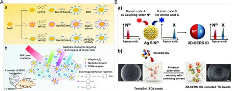 A A Fabrication Of Bioorthogonal Sers Nanoprobes With Three