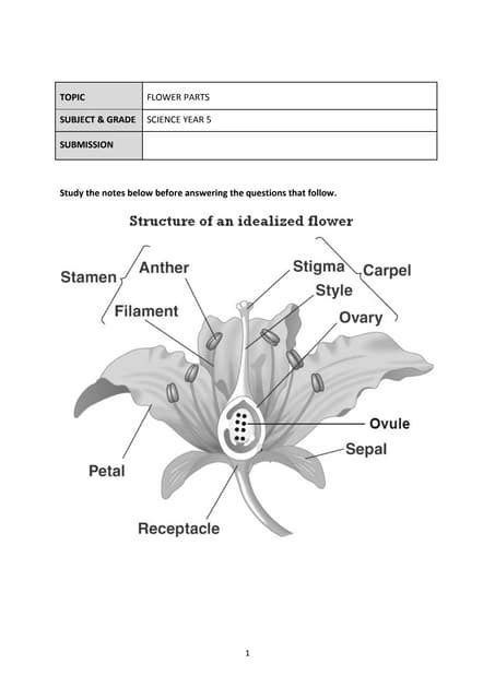 Flower Parts And Its Functions Pdf