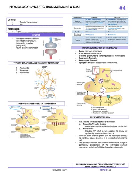 Solution Physiology Synaptic Transmissions And Nmj Studypool