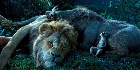 The Lion King: Timon & Pumbaa Gross Simba Out in New Clip | CBR