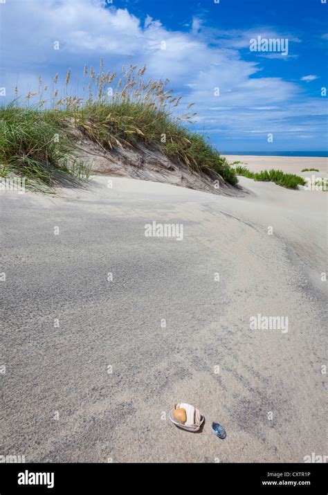 Pea Island National Wildlife Refuge North Carolina Sand Dune With