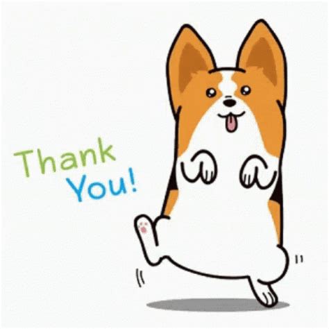 Cute Corgi Thank You 